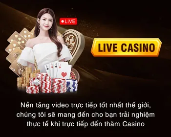 Hỗ trợ qua email Tyboi Casino