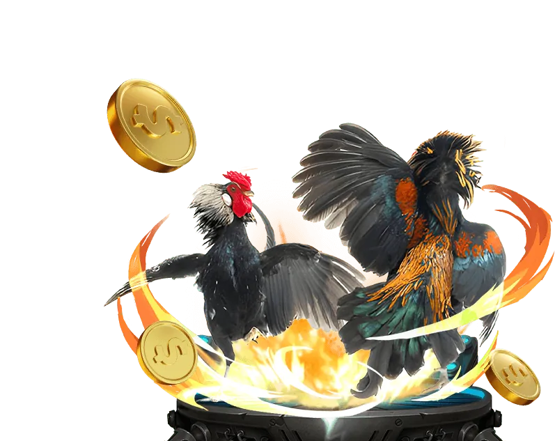 An toàn và bảo mật tại tyboi casino